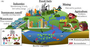 Critical Technology Elements: Key Drivers for Innovation and Development